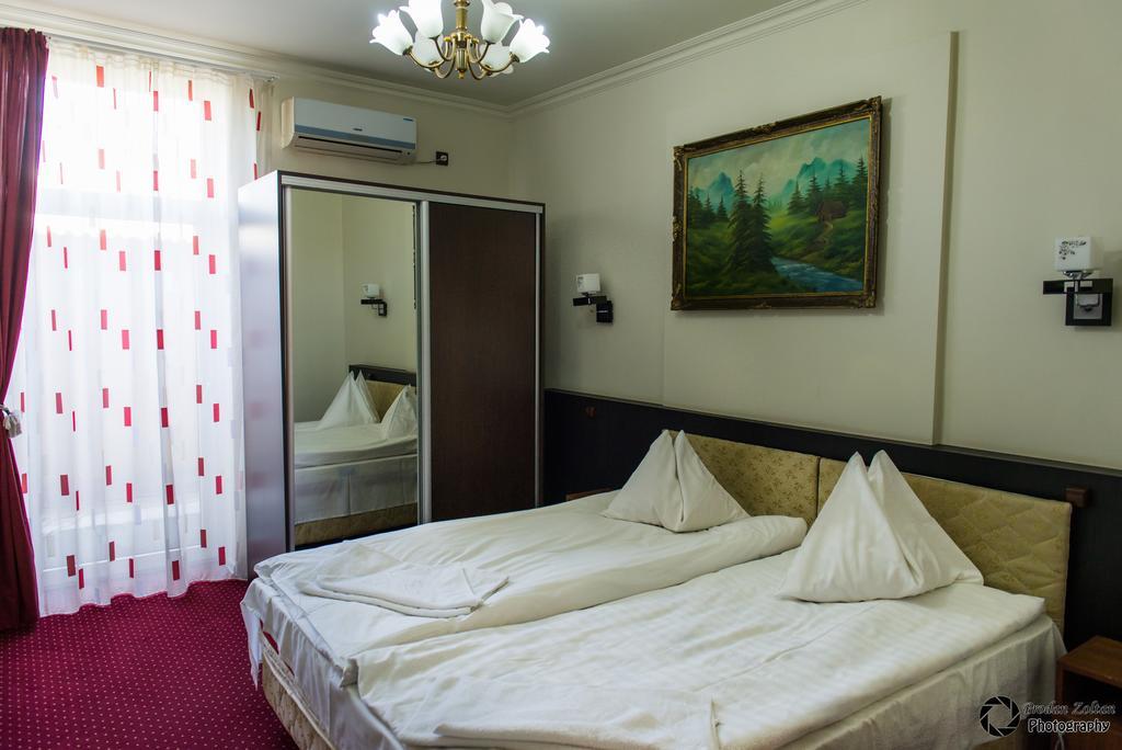 Pensiunea Schwartz Kluž Exteriér fotografie